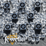 Silver Black D6 Logo